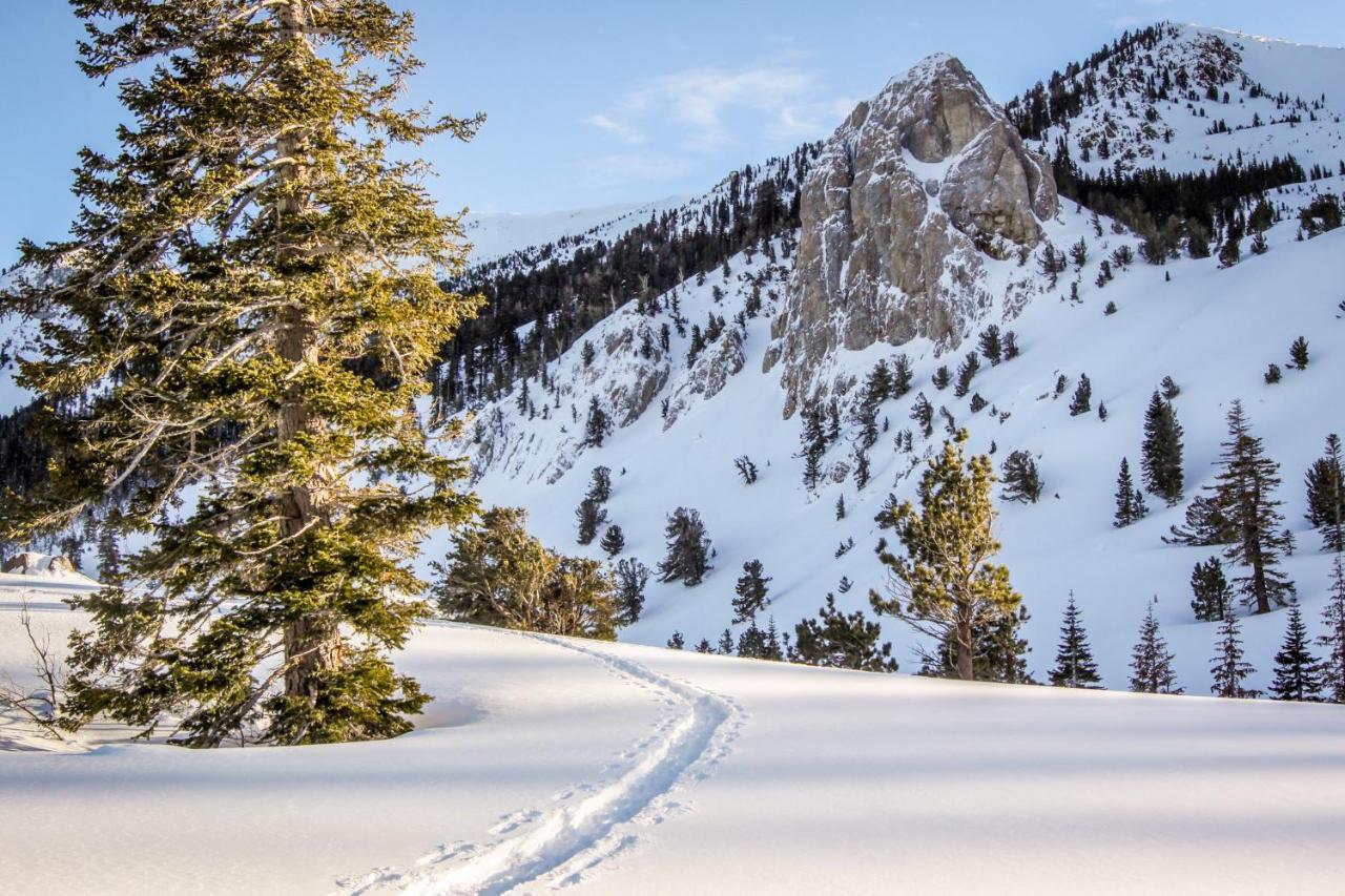 Crestview Villa Mammoth Lakes Esterno foto